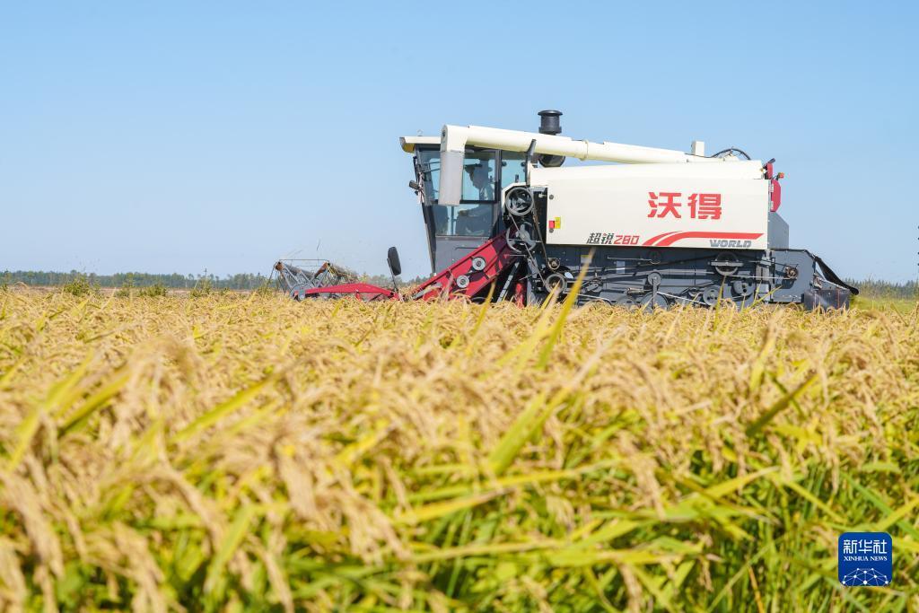 凯旋娱乐游戏官方最新版